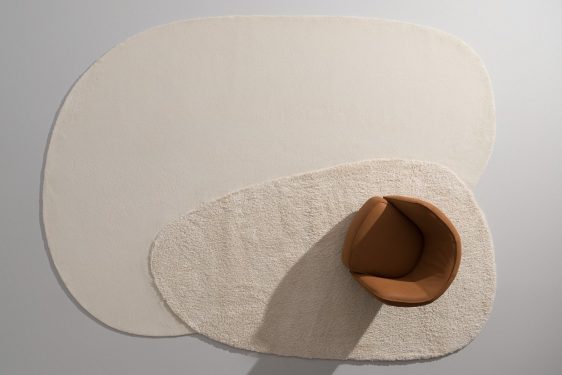Oasi